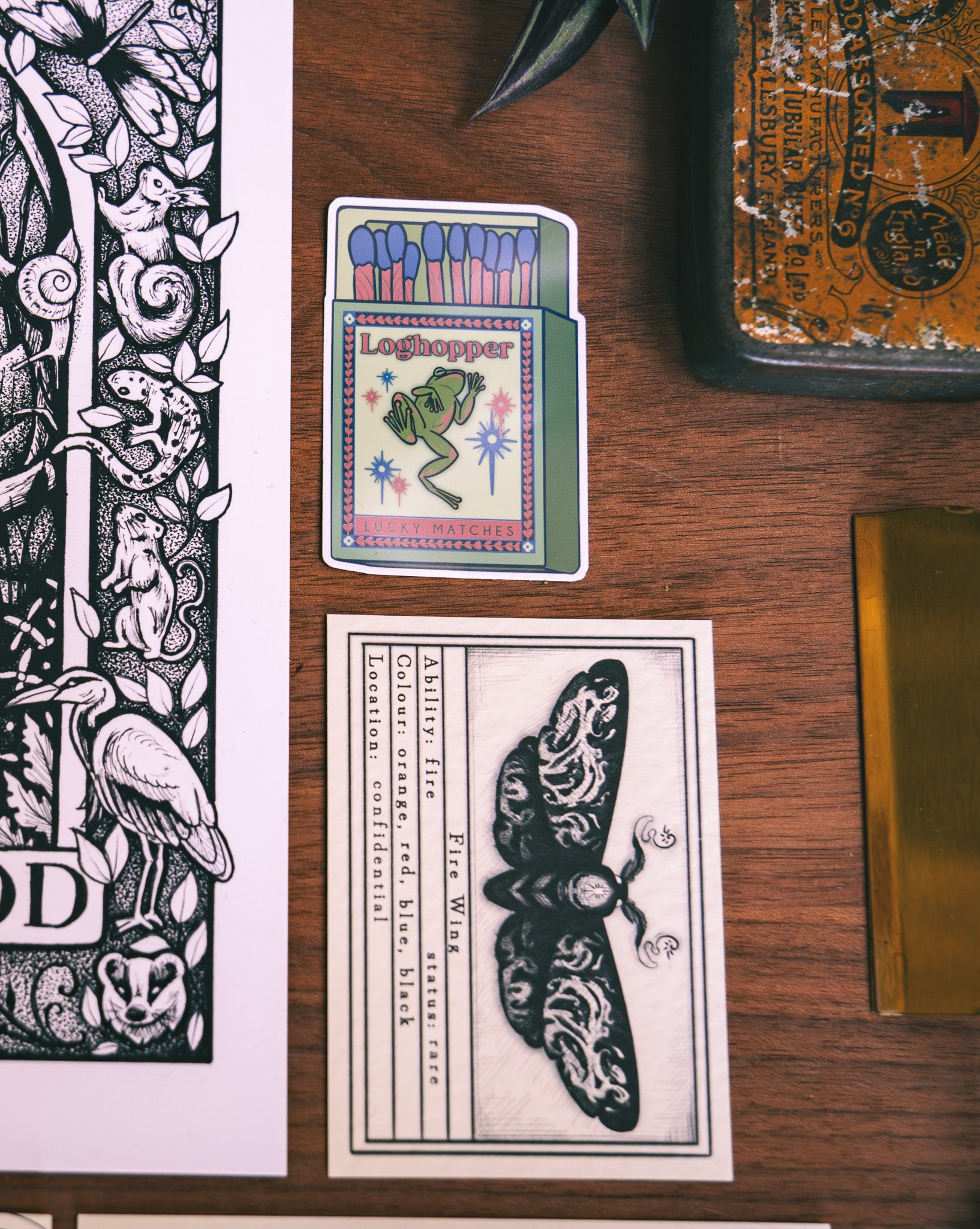 Subscription to The Fern Dispatch